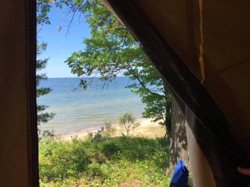 View of a serene beach and calm water through a tent opening, framed by trees and a clear blue sky.