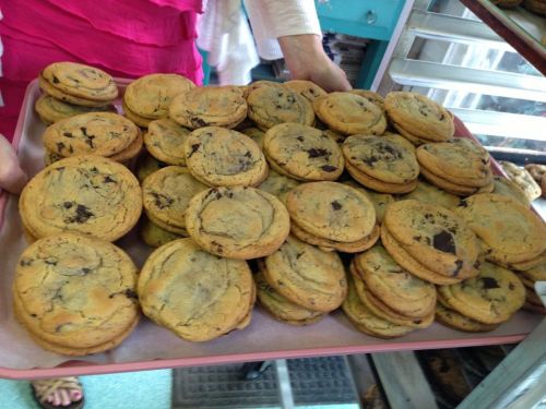 A tray filled with freshly baked chocolate chip cookies, stacked high and ready to be served.