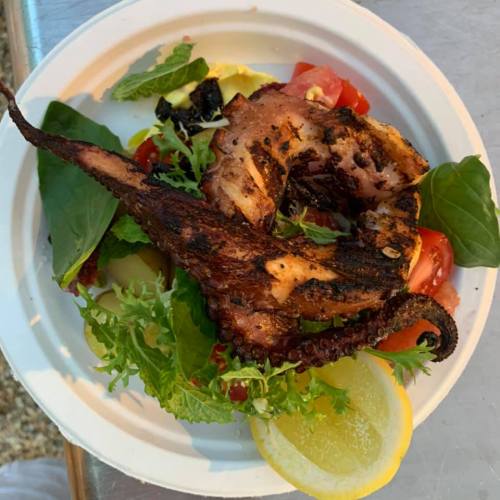 Grilled octopus served on a bed of fresh greens, tomatoes, and lemon slices on a white plate.