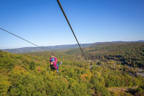A person zip-lining over a colorful forest landscape on a clear day, with mountains in the background.
