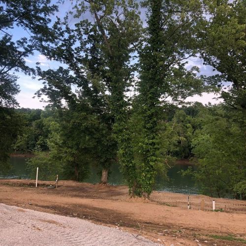 Lush green trees line a sandy riverbank, with calm water reflecting the greenery under a clear sky.