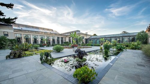 A serene garden with a pond, lush plants, and a glass greenhouse under a blue sky.
