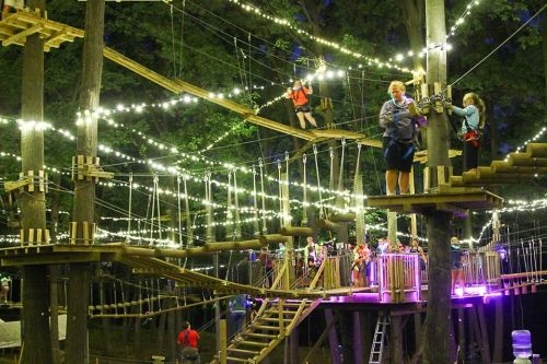 A treetop adventure park at night, featuring illuminated rope courses and people navigating the obstacles among the trees.