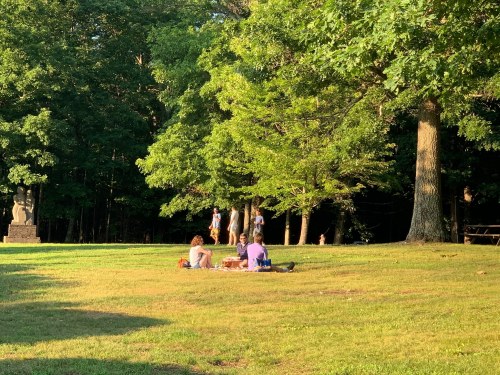 A group of people picnicking on a grassy area surrounded by trees in a park.