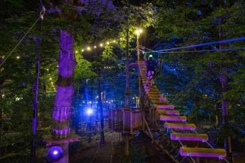 A brightly lit treetop adventure course at night, featuring wooden bridges and vibrant lights among the trees.