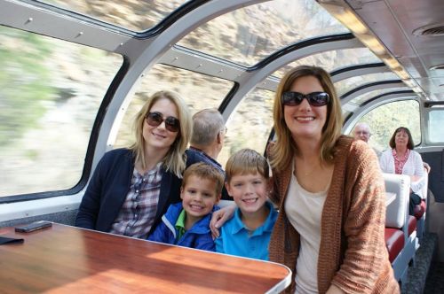 A group of adults and children smiling together on a scenic train ride, with a view of nature through the windows.