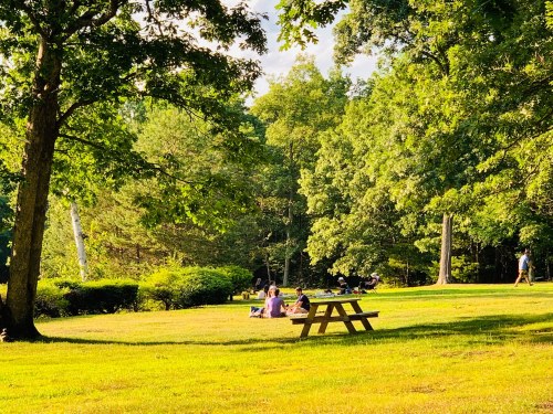 A sunny park scene with people relaxing on the grass, surrounded by trees and greenery. A picnic table is in the foreground.