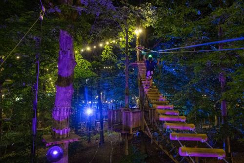 A nighttime view of a treetop adventure park with illuminated pathways and vibrant lights among the trees.