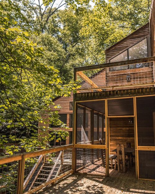 A modern wooden cabin surrounded by lush green trees, featuring large windows and a spacious deck.
