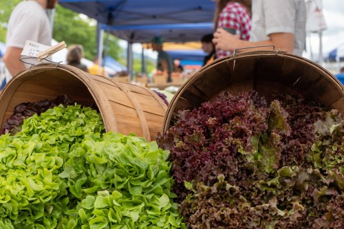 Two wooden baskets filled with vibrant green and red lettuce at a farmers market, with people in the background.