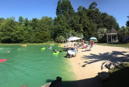 A sunny beach scene with people swimming, lounging, and enjoying activities by a greenish-blue lake surrounded by trees.