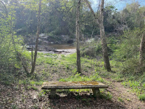 A stone bench in a serene forest setting, overlooking a calm river surrounded by trees and greenery.