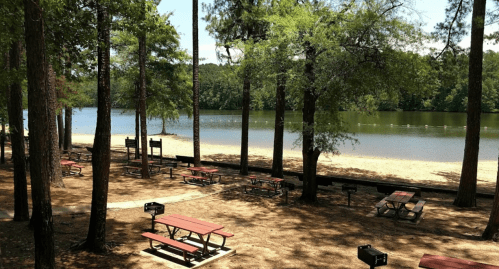 A serene lakeside view with picnic tables and grills under tall trees, featuring a sandy beach and calm water.