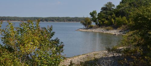 A serene lakeside view with trees lining the shore and calm water reflecting the sky.
