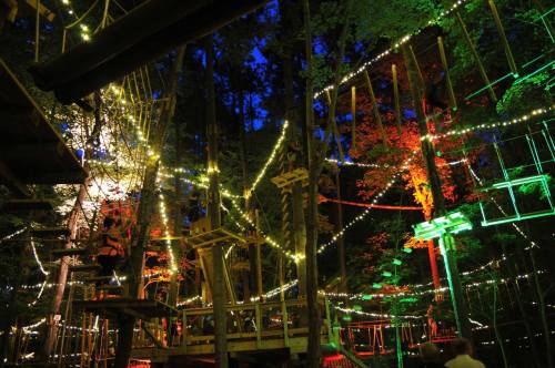 A vibrant treetop adventure park illuminated with colorful lights among trees at dusk.