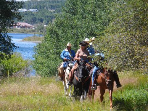 A group of four people on horseback riding along a grassy path near a lake, surrounded by trees and greenery.