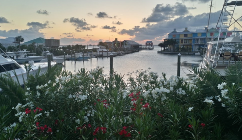 A serene waterfront scene at sunset, featuring boats, colorful buildings, and blooming flowers in the foreground.