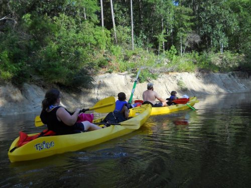 Four people kayaking on a calm river surrounded by lush greenery and trees.