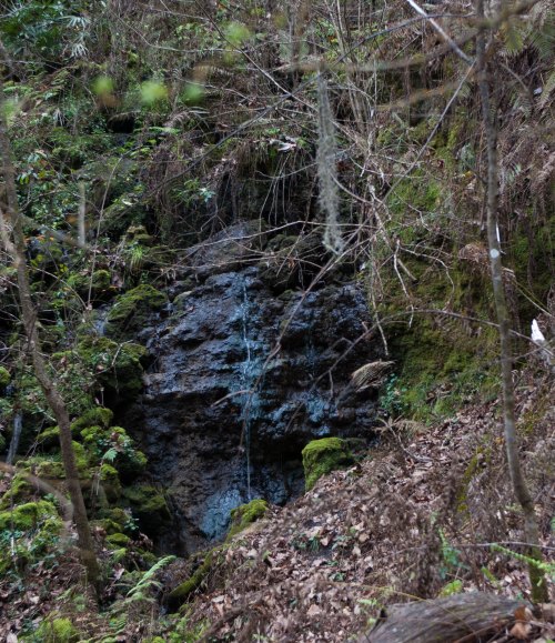 A small waterfall cascades over moss-covered rocks in a lush, green forest.
