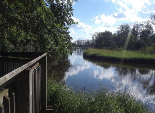 A serene river scene with lush greenery, reflecting clouds and trees under a bright blue sky.
