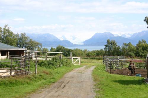 A scenic view of a farm path leading to mountains and a glacier, surrounded by lush greenery and a calm lake.