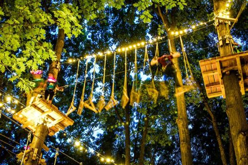 Two people navigate a treetop obstacle course at night, surrounded by trees and illuminated by string lights.