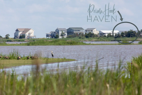 A serene landscape featuring a body of water, grassy banks, and distant houses under a clear blue sky.