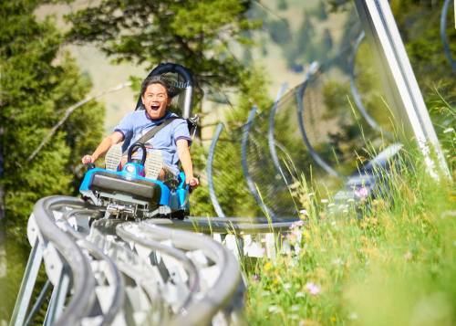 A person joyfully rides a mountain coaster, surrounded by greenery and flowers, with a blurred background.