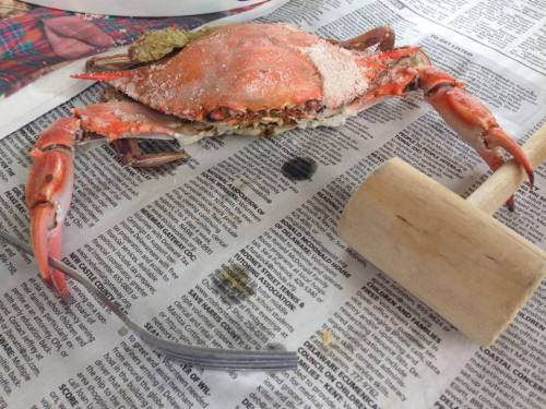 A cooked crab on newspaper, accompanied by a mallet and a fork, ready for a seafood meal.
