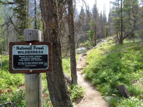 A sign for a National Forest Wilderness area stands among trees, indicating a nature trail ahead.