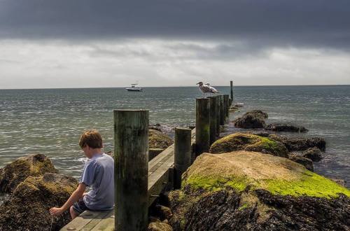 A boy sits on a dock by the water, with a seagull perched nearby and a boat in the distance under a cloudy sky.