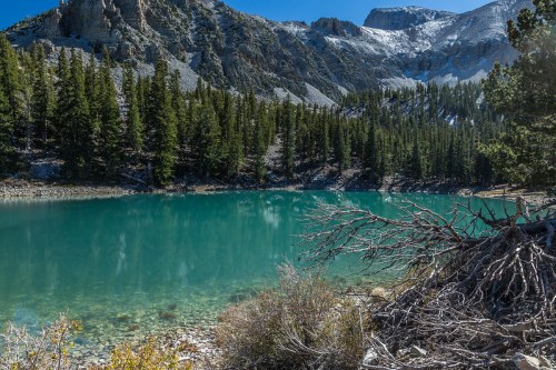 A serene turquoise lake surrounded by tall pine trees and rocky mountains under a clear blue sky.