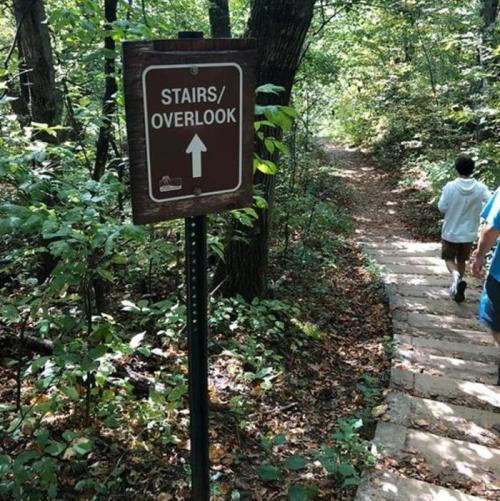 A wooden sign points up a trail towards stairs and an overlook, with a person walking on a stone path surrounded by trees.
