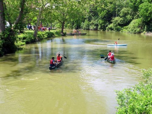 People kayaking and canoeing on a calm river surrounded by lush green trees on a sunny day.