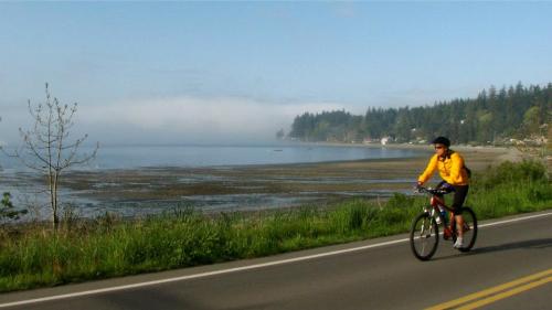 A cyclist rides along a scenic road by a foggy shoreline, surrounded by trees and calm water.
