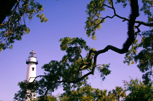 A lighthouse stands tall against a clear blue sky, framed by branches of a tree.