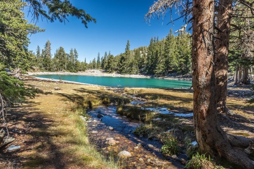 A serene lake surrounded by trees, with a clear blue sky and a small stream flowing nearby.