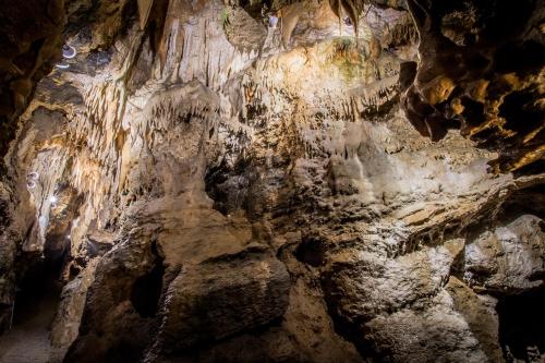 A dimly lit cave interior featuring stalactites and rocky formations, showcasing natural geological features.