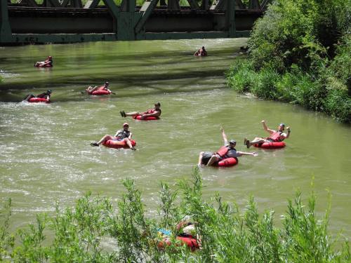 People floating on inner tubes in a river, surrounded by greenery and a bridge in the background.