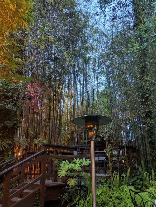 A serene outdoor space with bamboo trees, soft lighting, and a patio heater amidst lush greenery.