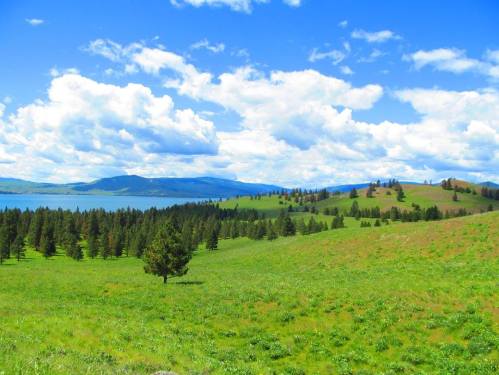 A vibrant landscape featuring green hills, scattered trees, and a lake under a bright blue sky with fluffy clouds.
