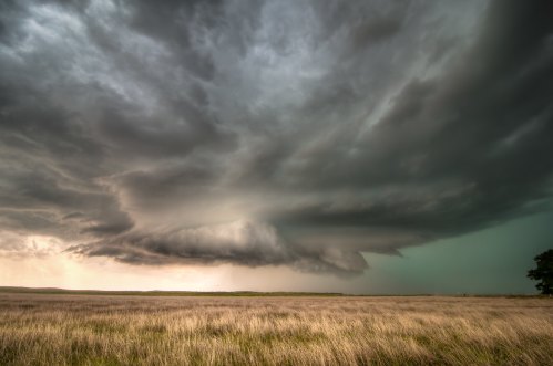 Dramatic storm clouds loom over a grassy field, with dark skies contrasting against a lighter horizon.