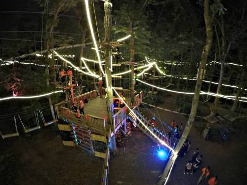 Aerial view of a brightly lit ropes course in a forest, with people navigating obstacles and swings.