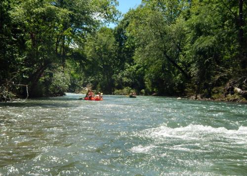 Two kayakers navigate a winding river surrounded by lush green trees on a sunny day.