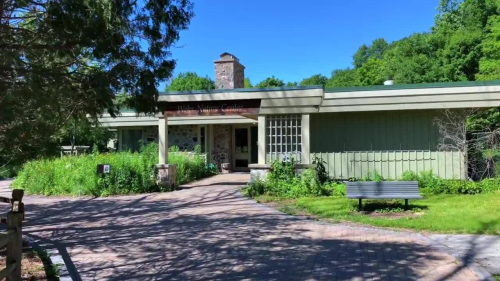 A green building with a stone chimney, surrounded by trees and plants, featuring a pathway and benches in front.