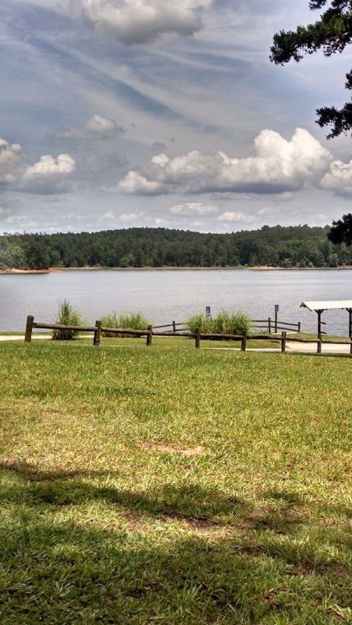 A serene lake view with grassy foreground, wooden fence, and trees under a cloudy sky.