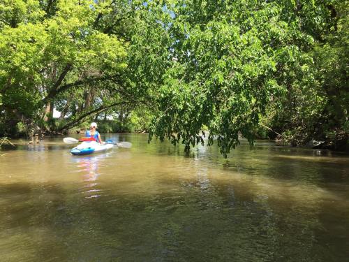 A person kayaking on a calm river surrounded by lush green trees and sunlight filtering through the leaves.
