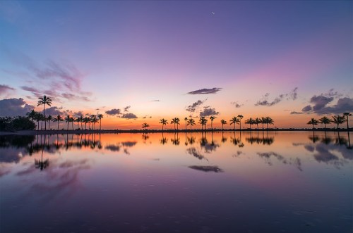 A serene sunset over a calm lake, with palm trees silhouetted against a colorful sky reflecting in the water.