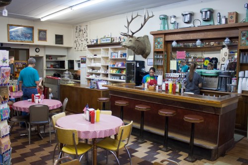 A vintage diner interior with a mounted deer head, a counter, and checkered tablecloths. Customers are seated and ordering.
