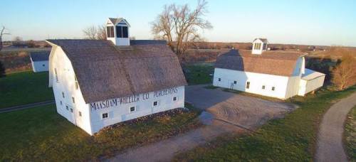 Aerial view of two white barns with a grassy area and a dirt path, surrounded by trees and open fields.